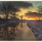 Wintermorgen im unteren Recknitztal