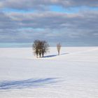 Wintermorgen im Vorharz