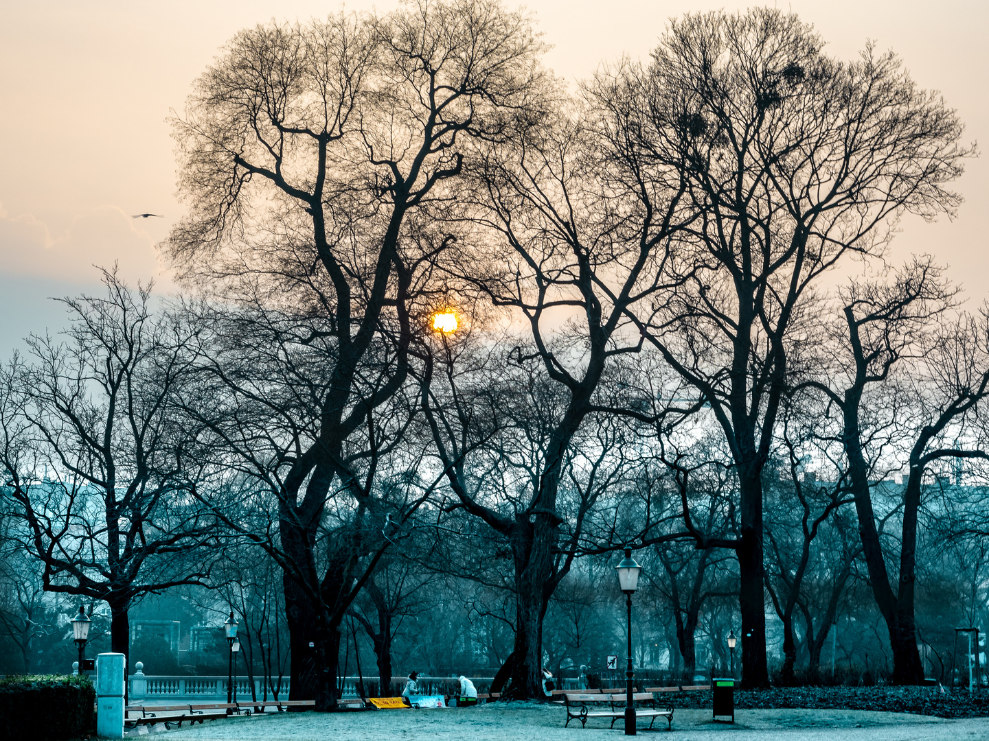 Wintermorgen im Wiener Stadtpark