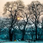 Wintermorgen im Wiener Stadtpark