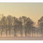 Wintermorgen im Wurmtal