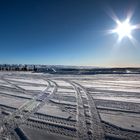 Wintermorgen im Yukon