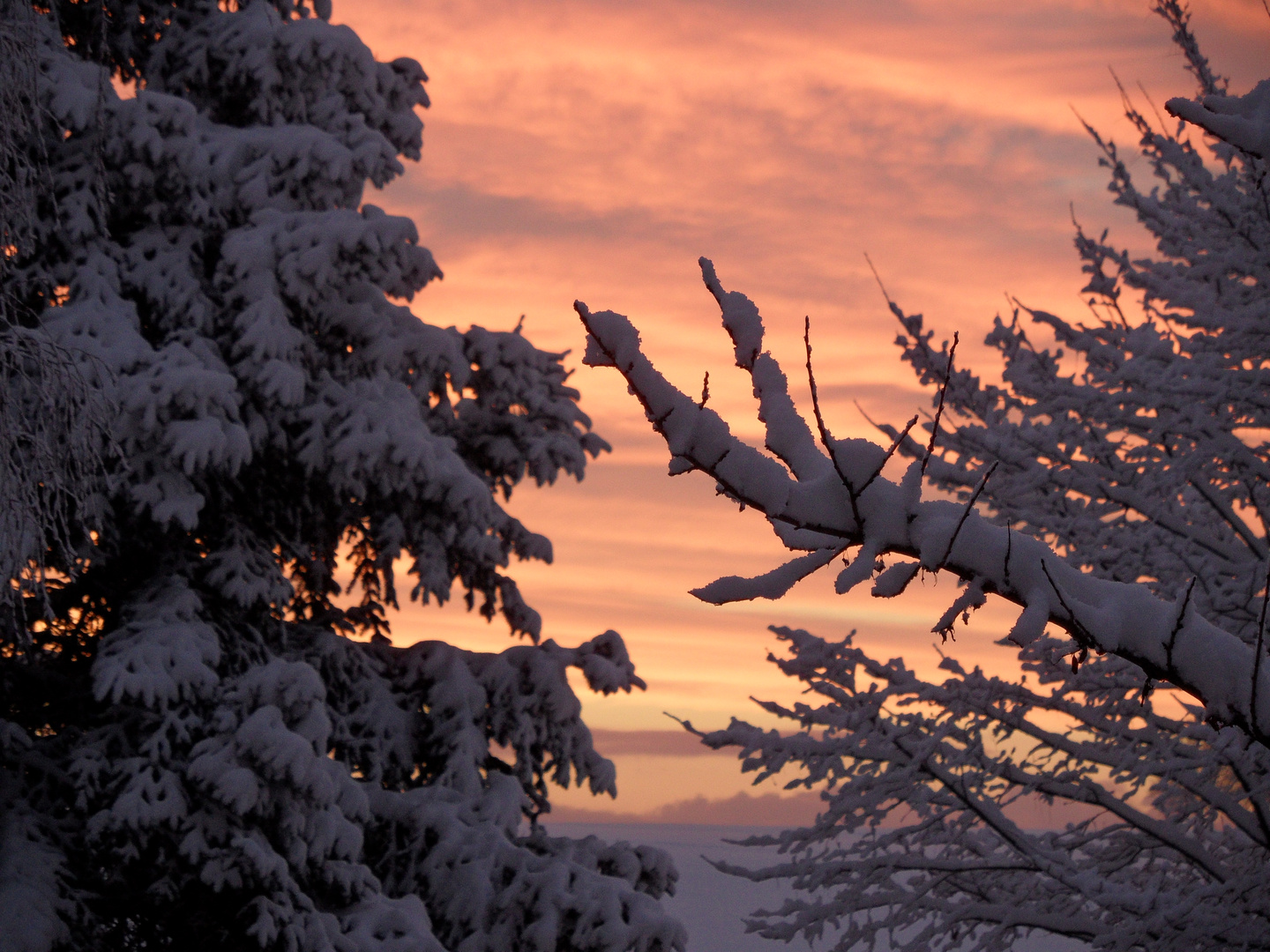 Wintermorgen in Birstein