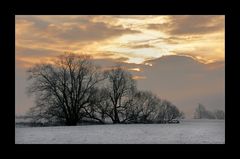 Wintermorgen in den Mainauen II