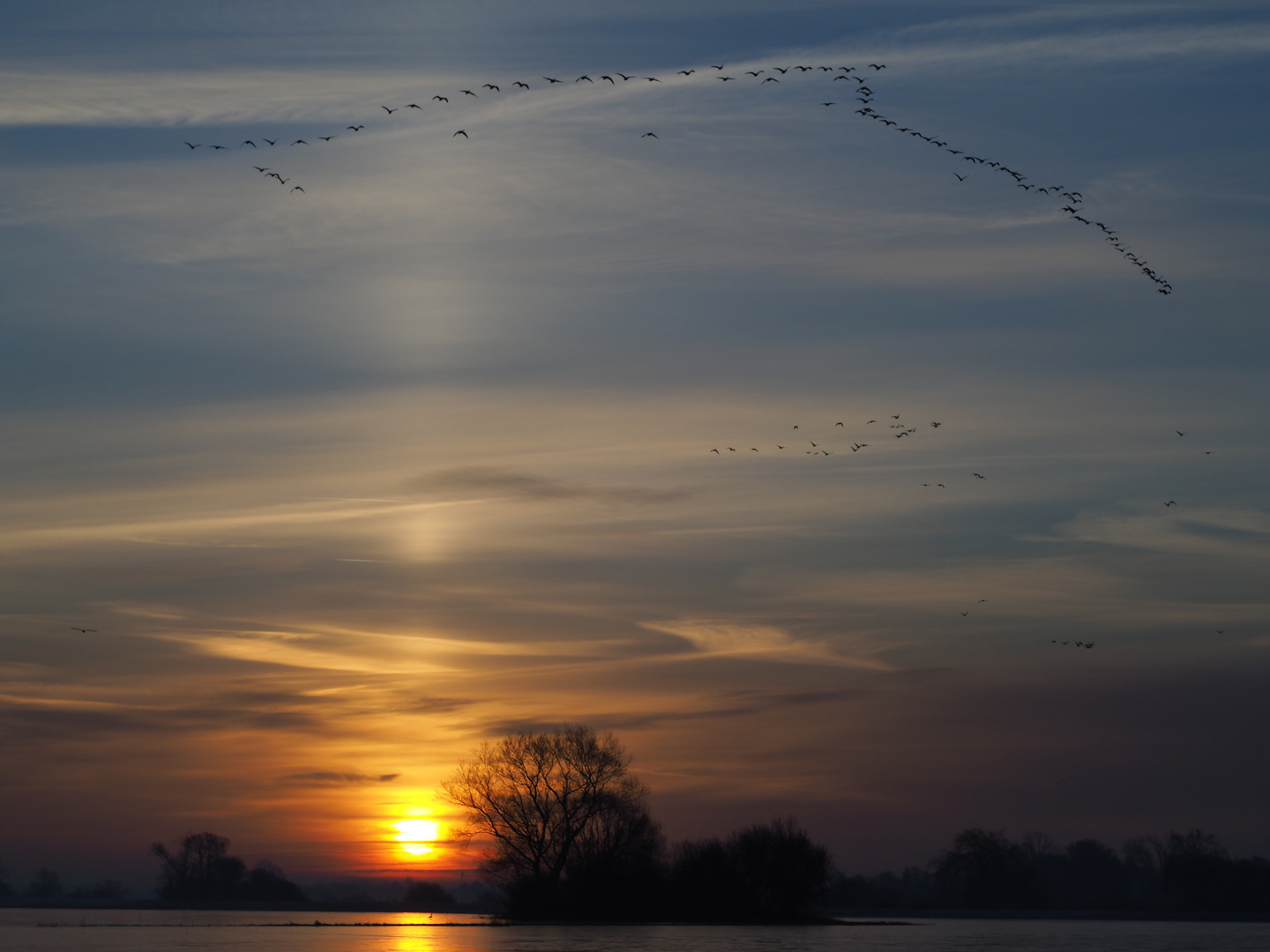 Wintermorgen in den Wümmewiesen