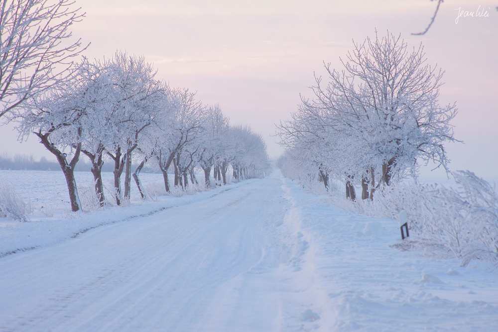 Wintermorgen in der Börde