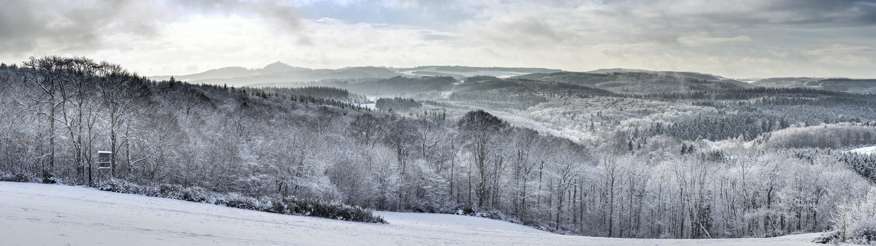 Wintermorgen in der Eifel