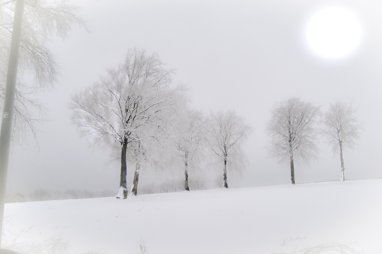 Wintermorgen in der Eifel