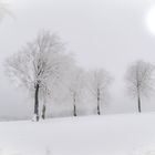 Wintermorgen in der Eifel
