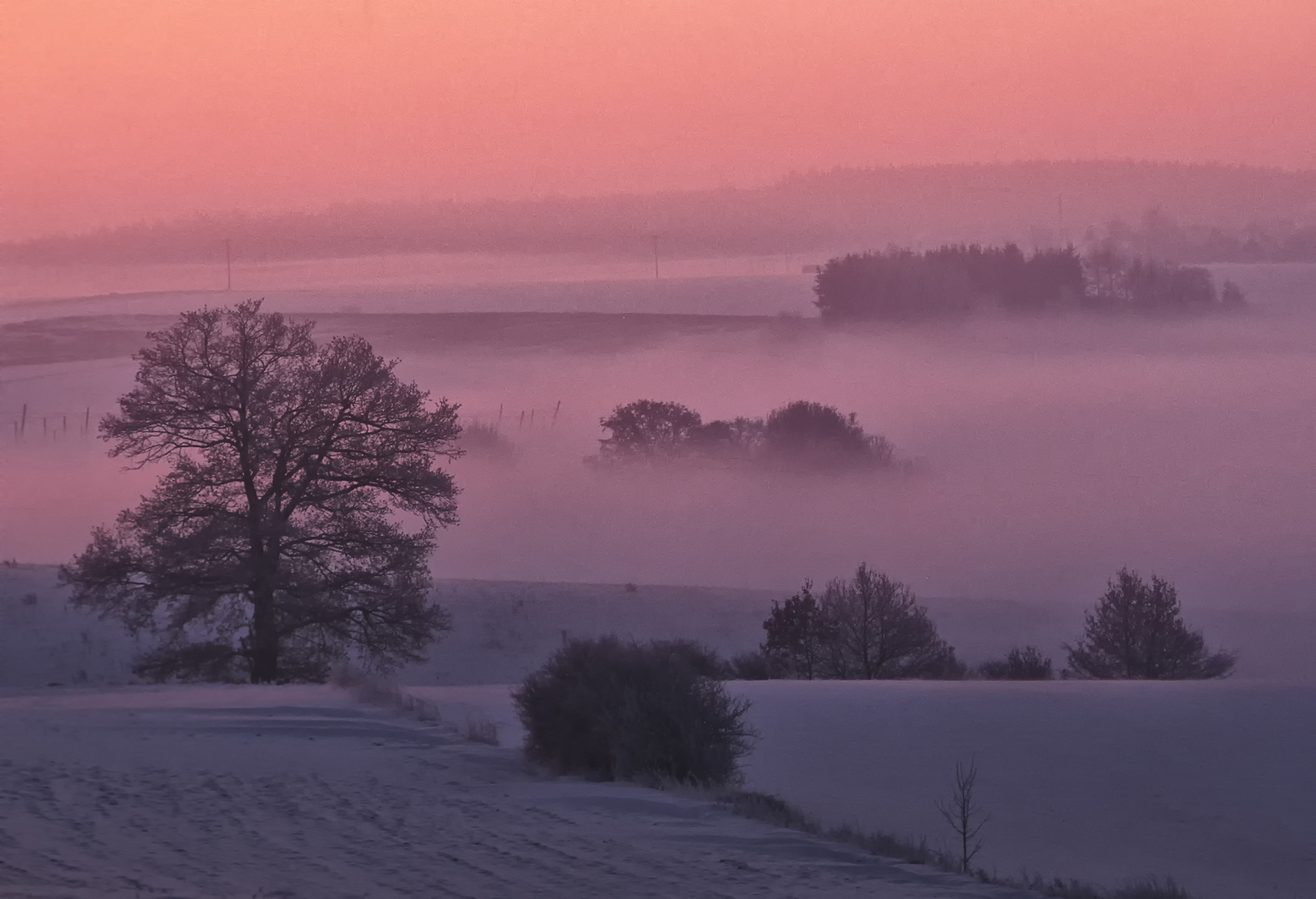 Wintermorgen in der Hallertau