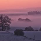 Wintermorgen in der Hallertau