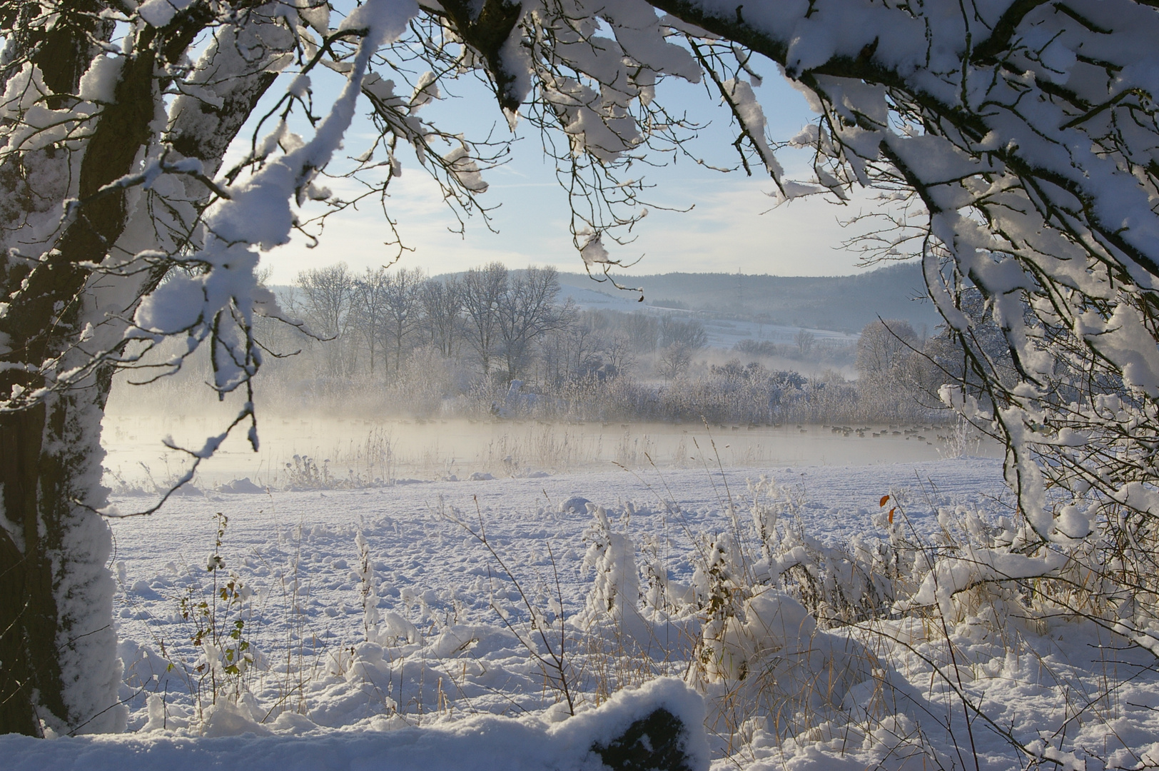 Wintermorgen in der Mainaue