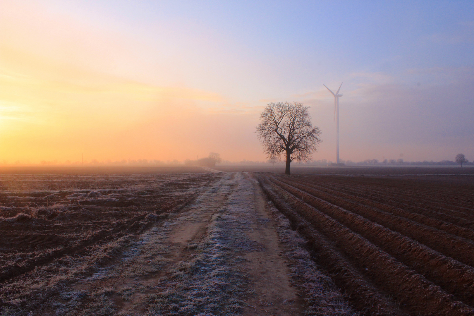 Wintermorgen in der Pfalz (2)