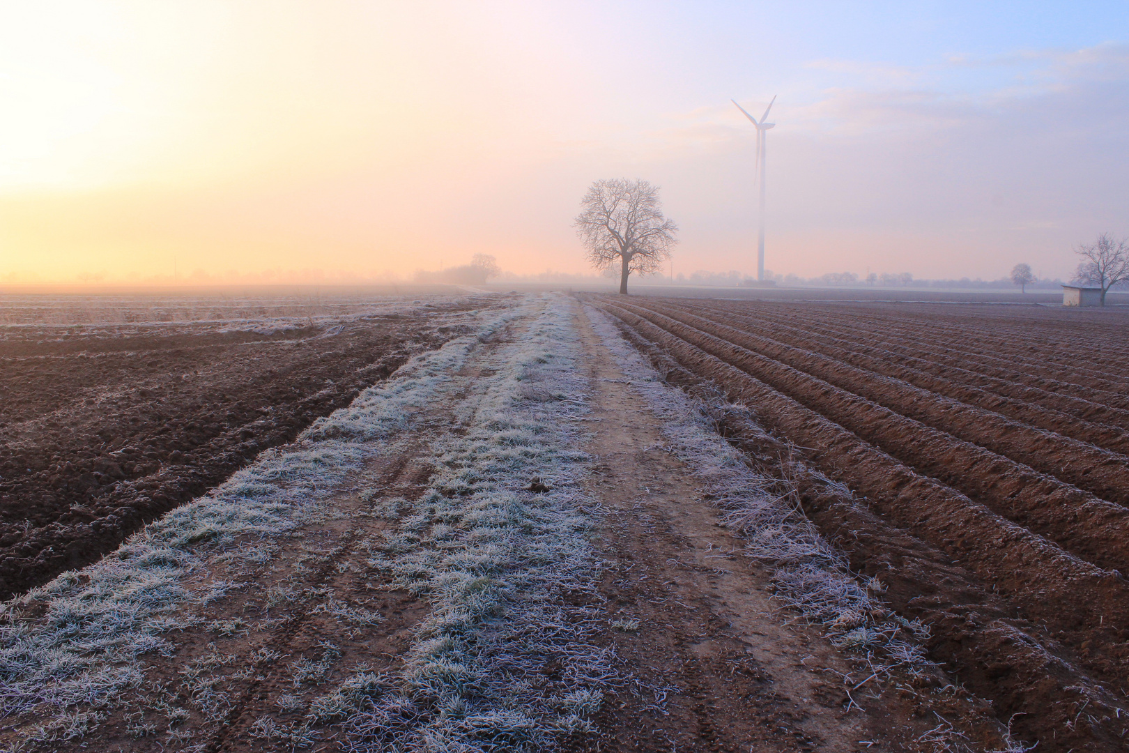 Wintermorgen in der Pfalz