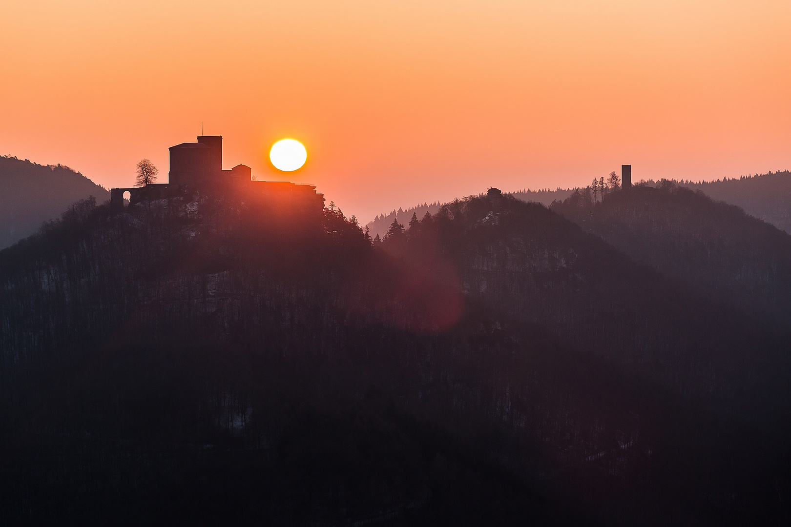 Wintermorgen in der Pfalz