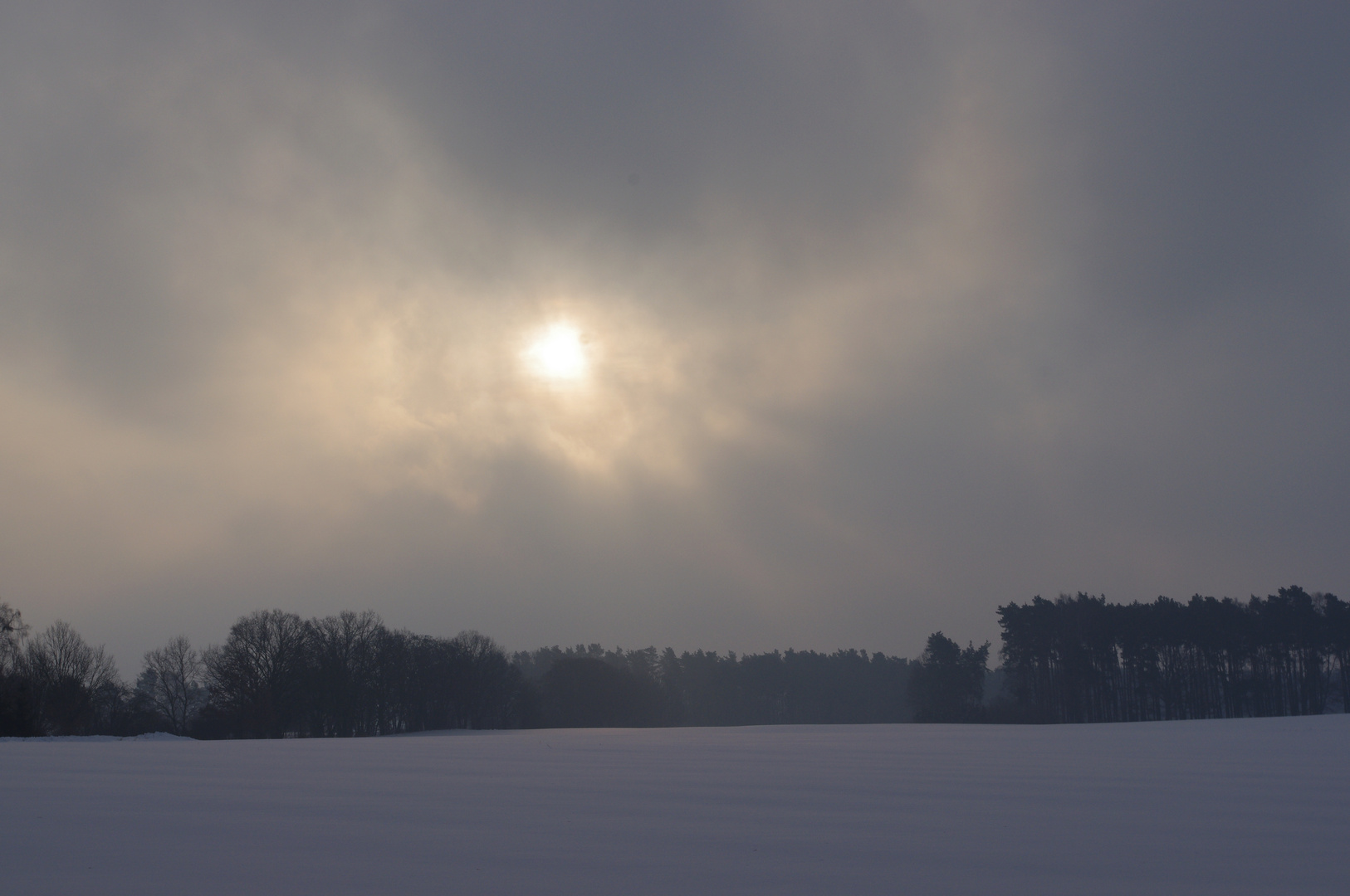 Wintermorgen in der Schorfheide