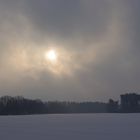 Wintermorgen in der Schorfheide