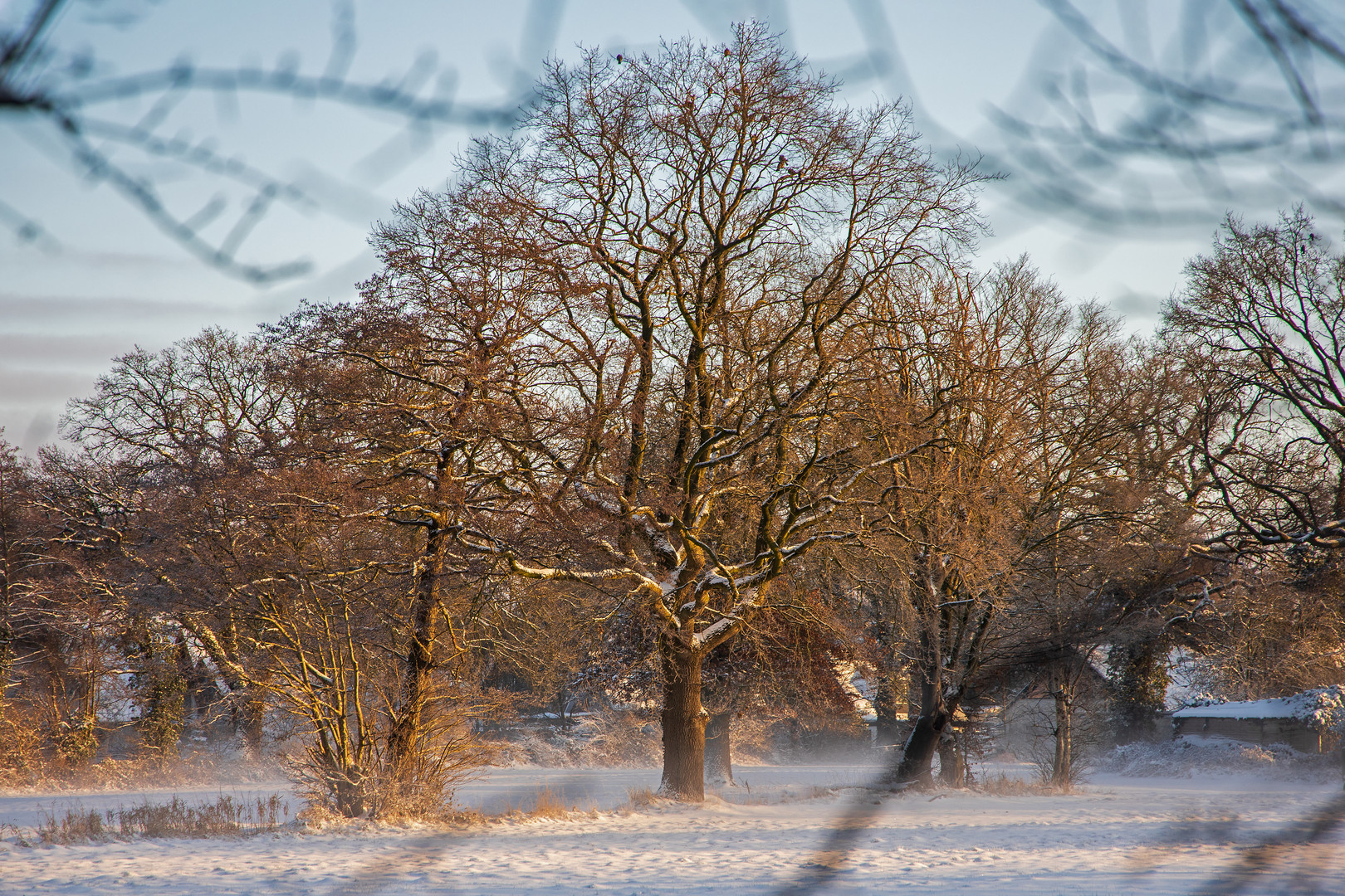 Wintermorgen in der Sonne