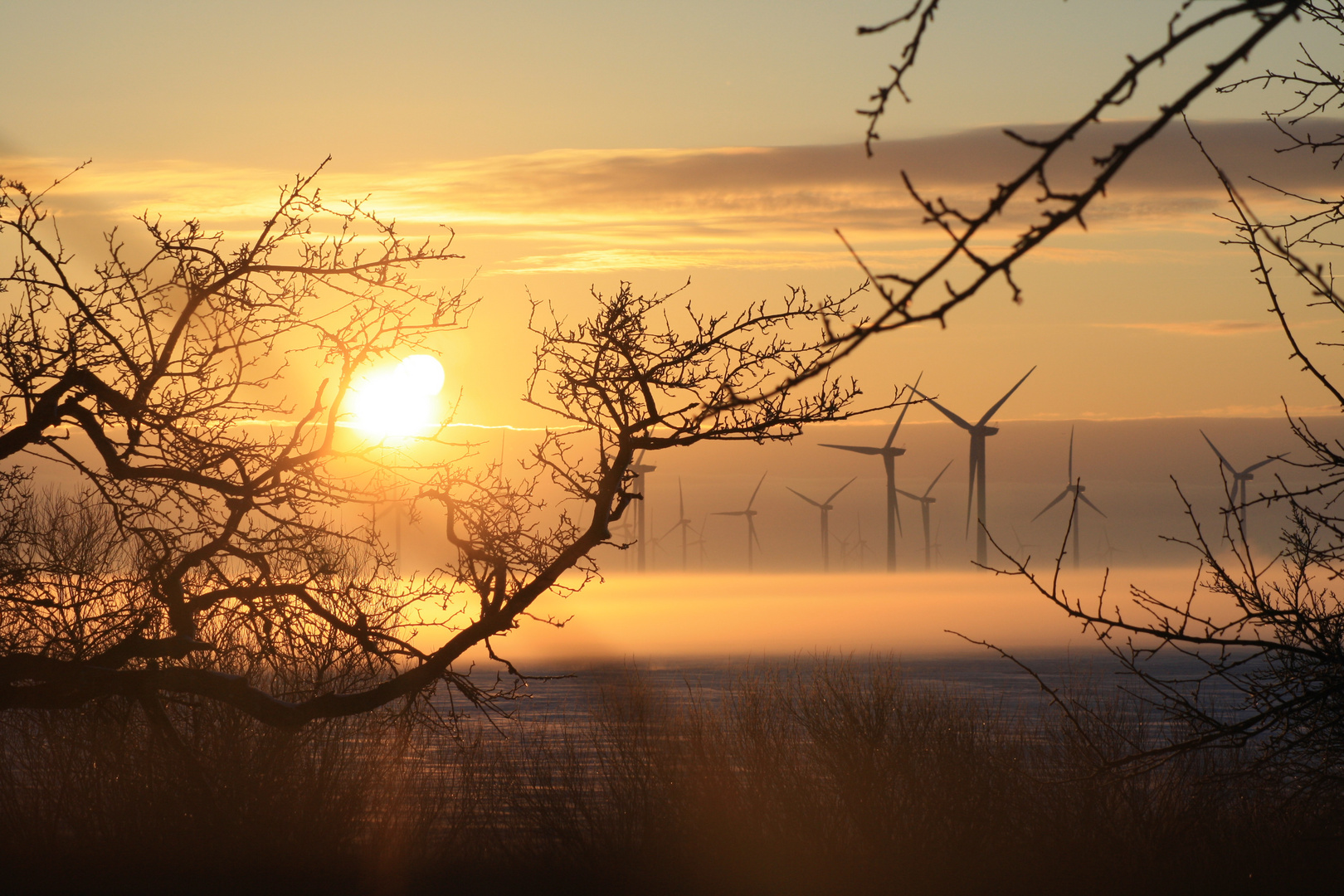 Wintermorgen in Friesland