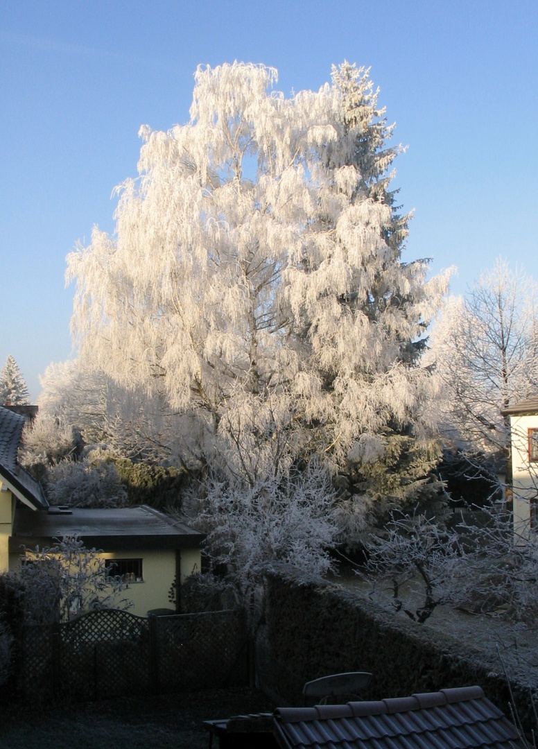 Wintermorgen in Gröbenzell