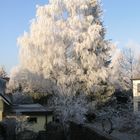 Wintermorgen in Gröbenzell