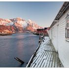 Wintermorgen in Henningsvaer