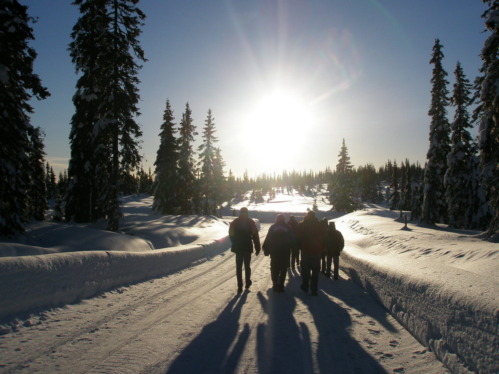 Wintermorgen in Norwegen