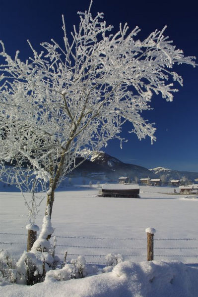 Wintermorgen in Österreich