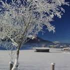 Wintermorgen in Österreich