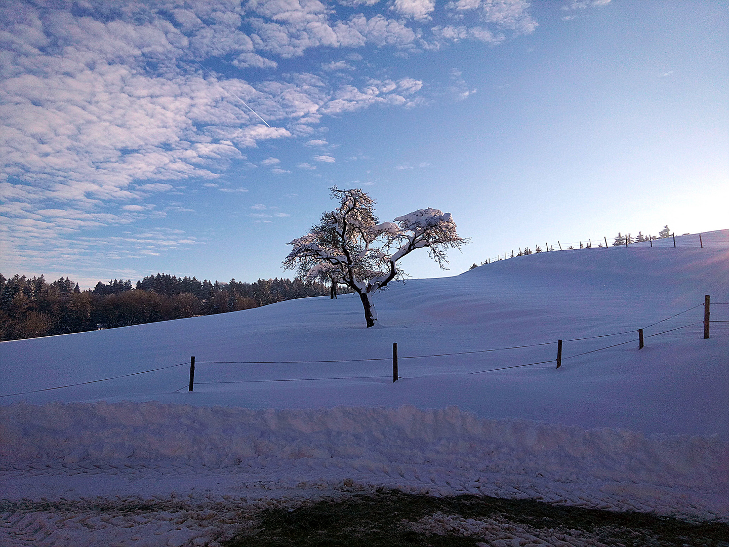 Wintermorgen in Remnatsried im Allgäu