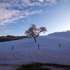 Wintermorgen in Remnatsried im Allgäu