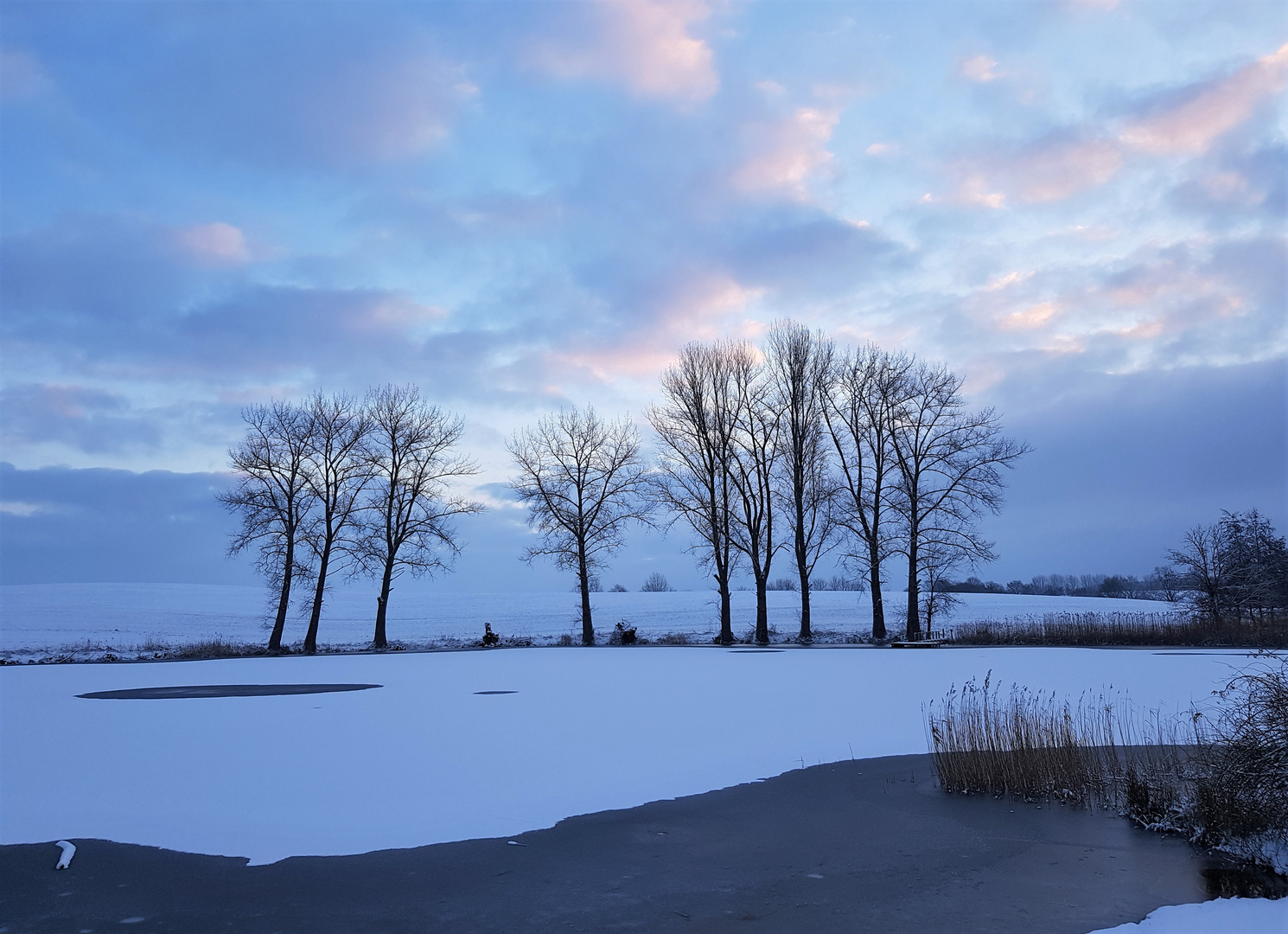 Wintermorgen in Schleswig - Holstein