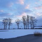 Wintermorgen in Schleswig - Holstein