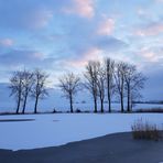 Wintermorgen in Schleswig - Holstein