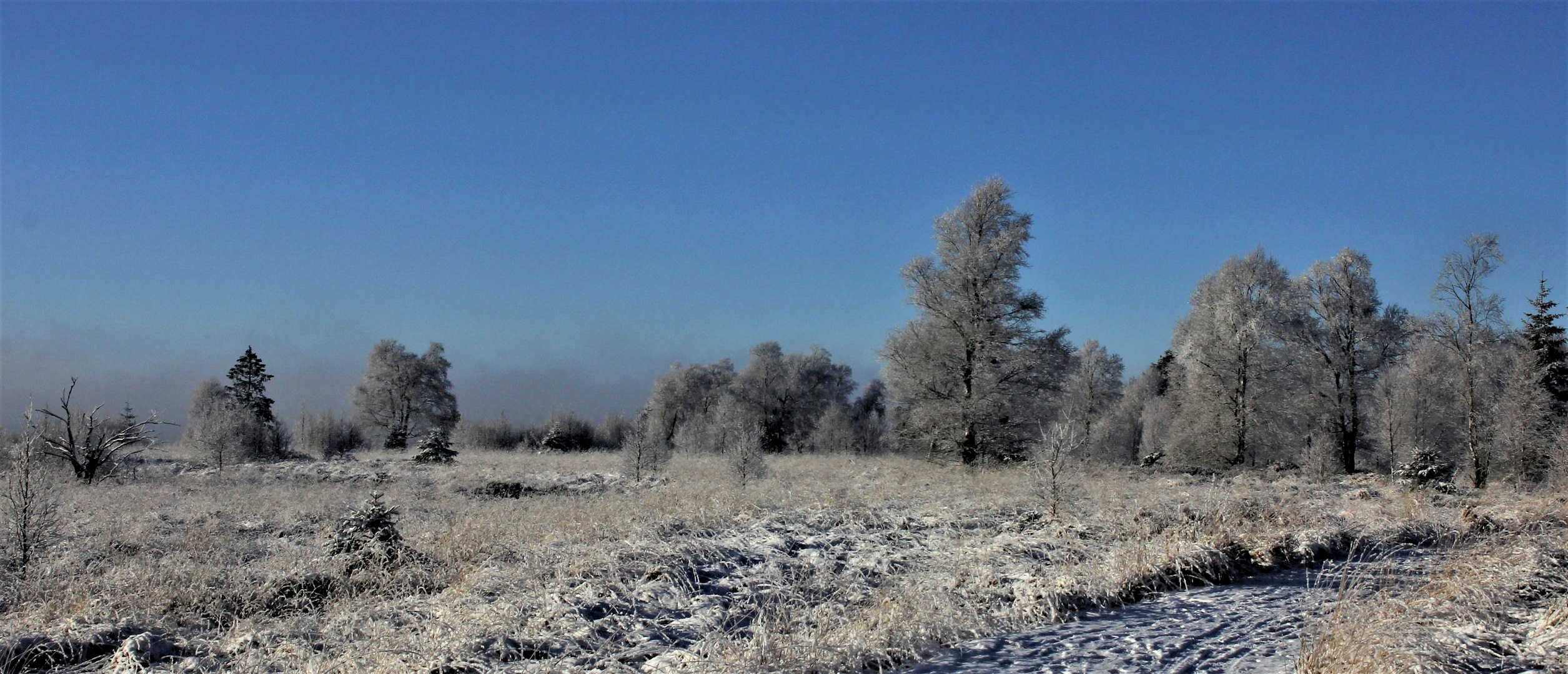 Wintermorgen in Venn 