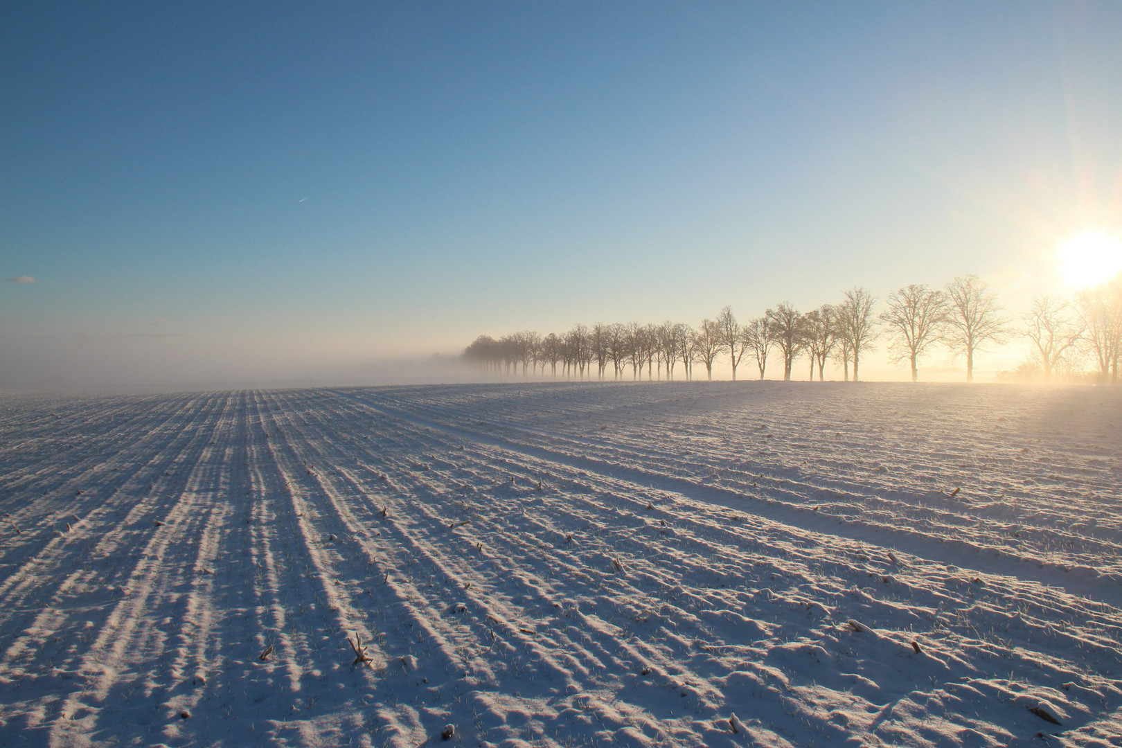 Wintermorgen in Vorpommern