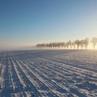 Wintermorgen in Vorpommern