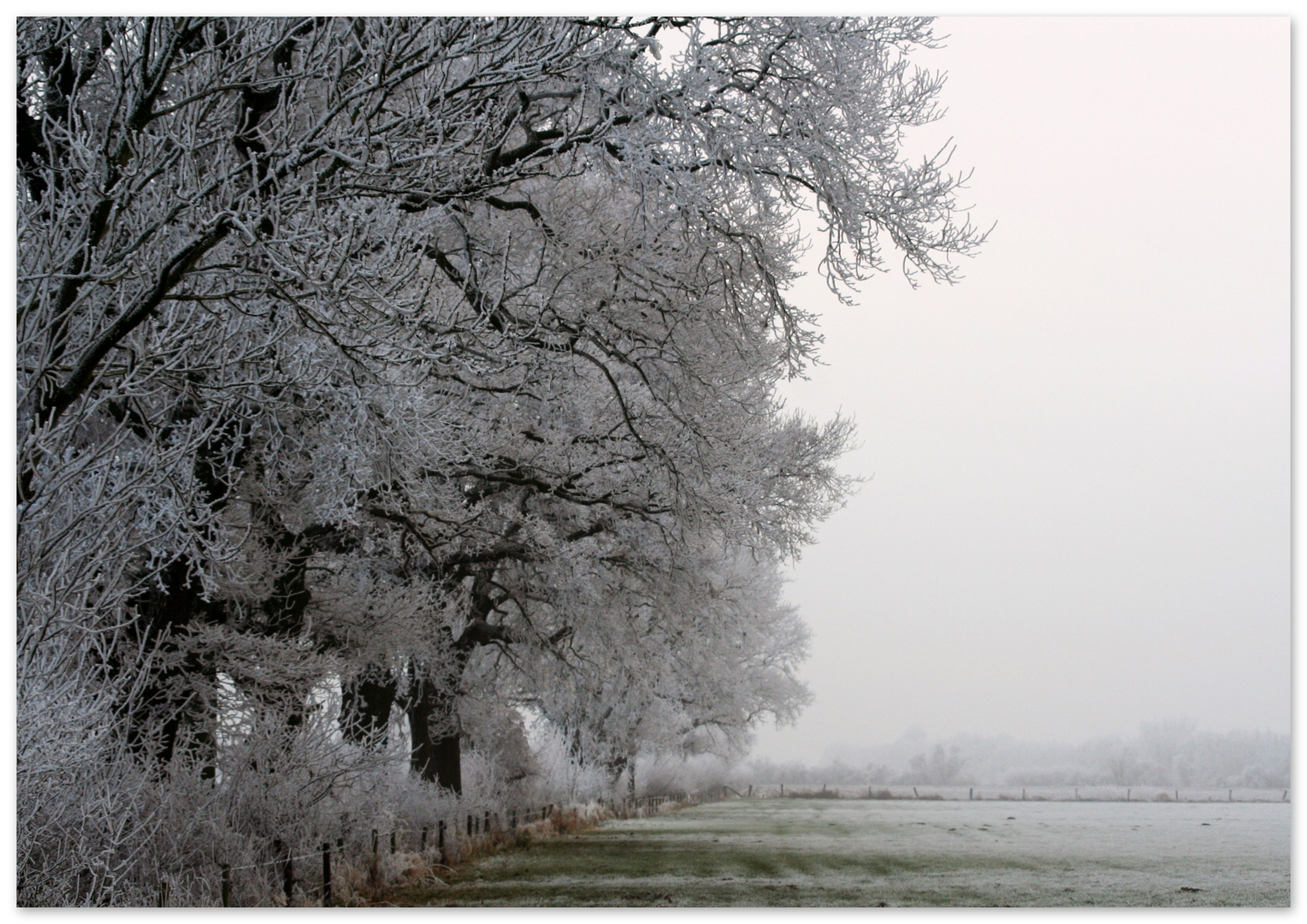 Wintermorgen - Matin d'hiver