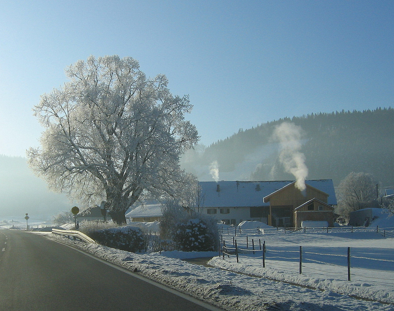 Wintermorgen on the road