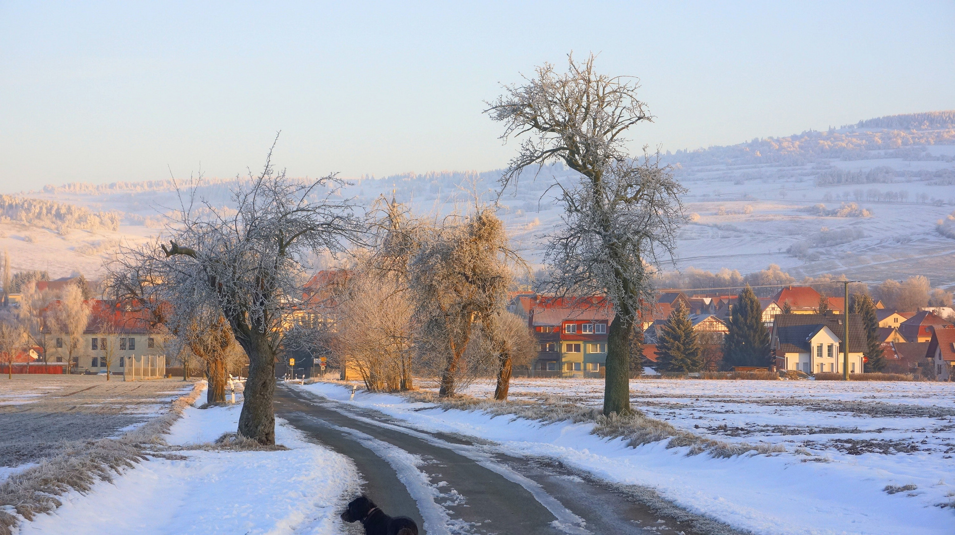 Wintermorgen (por la mañana en invierno)