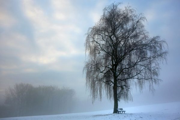 Wintermorgen- und kein Virus weit und breit-hoffe ich doch