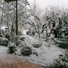 Wintermorgen vor der Haustür