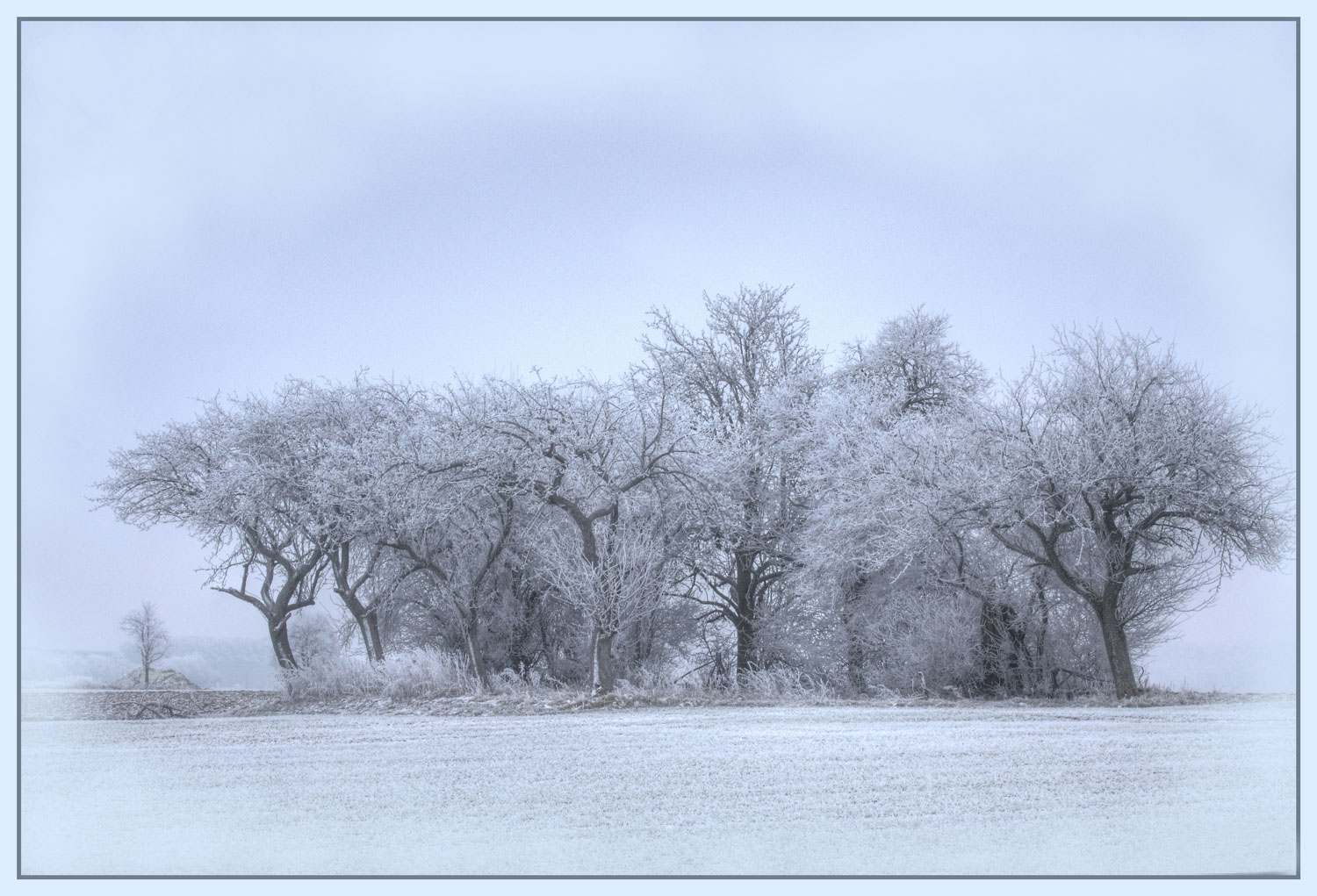 Wintermorgen1