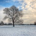 Wintermorgen_1641 