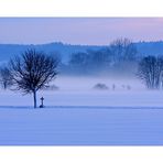 Wintermorgen(2)