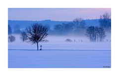 Wintermorgen(2)