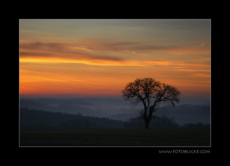 Wintermorgenbunt