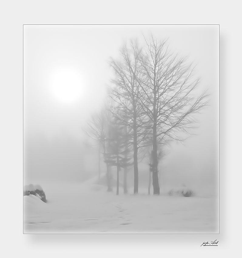 Wintermorgenerwachen-High key