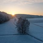 Wintermorgenflug