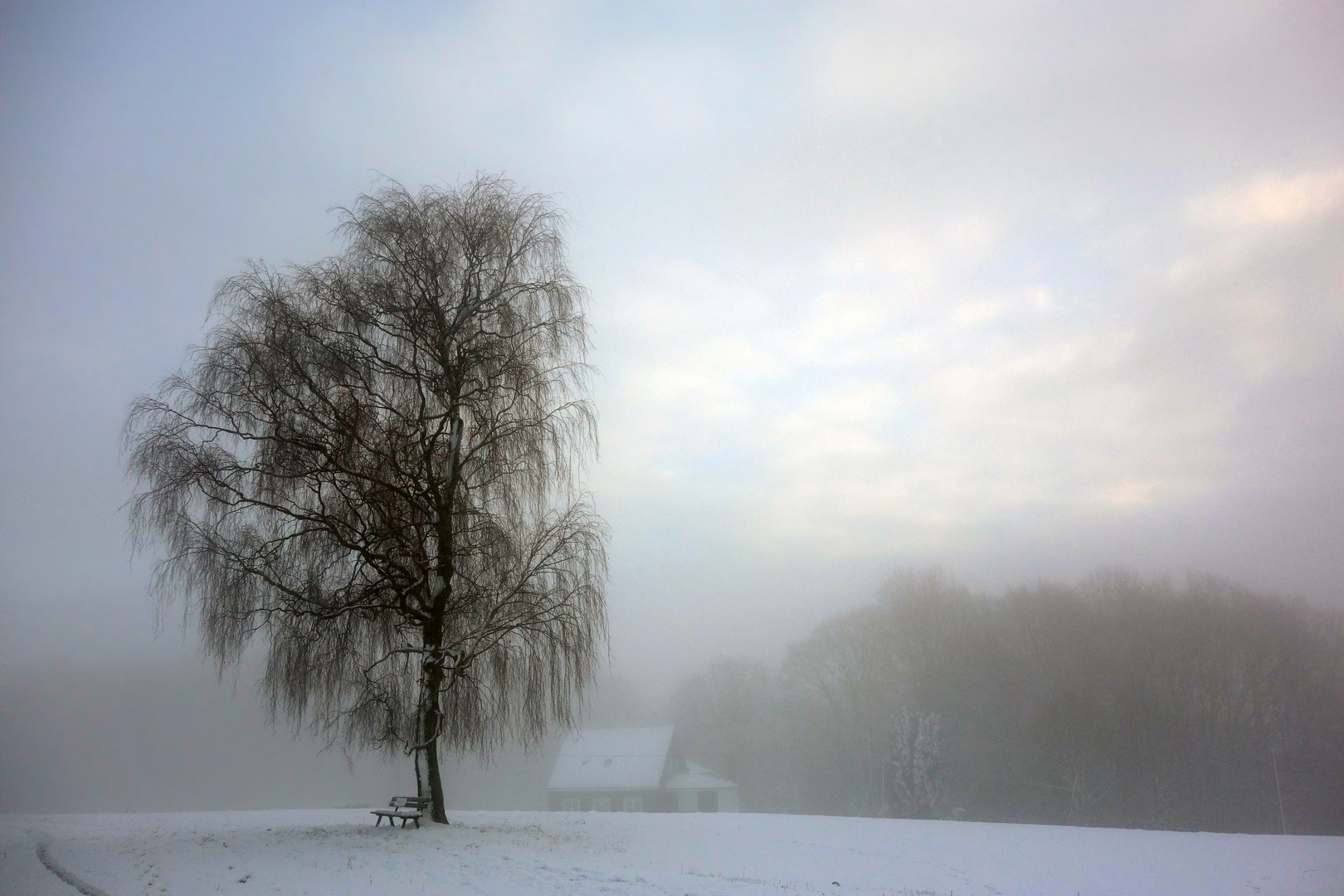 Wintermorgenlicht